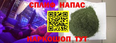 ешки Гай