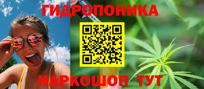 ешки Гай
