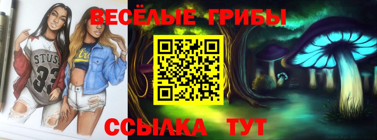 Псилоцибиновые грибы мухоморы  Псилоцибиновые грибы Psilocybine cubensis  Вход с VPN  купить закладку  Дедовск 