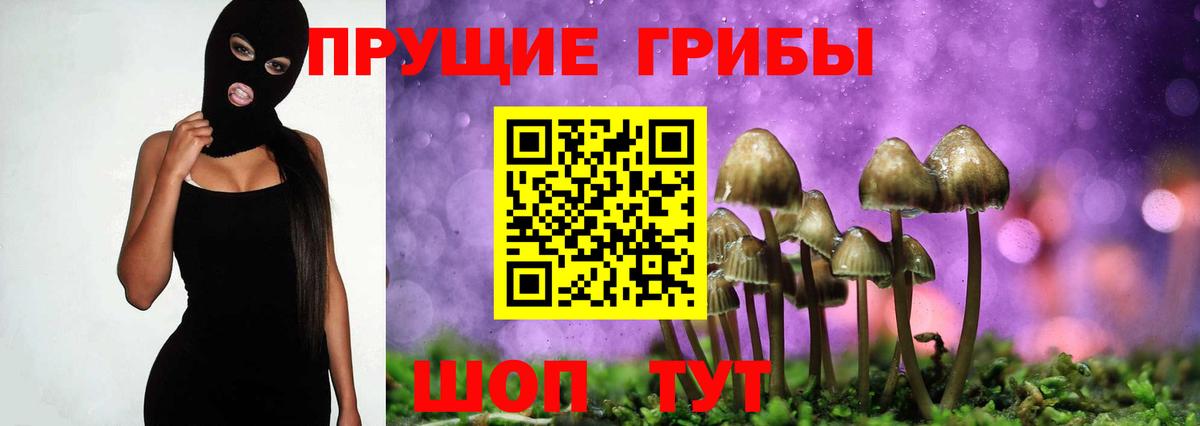 Галлюциногенные грибы MAGIC MUSHROOMS Дедовск